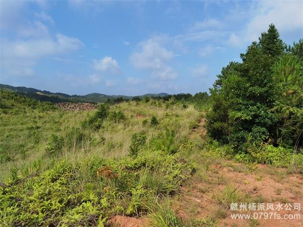 南川区带着徒弟上山学杨公风水现场操作